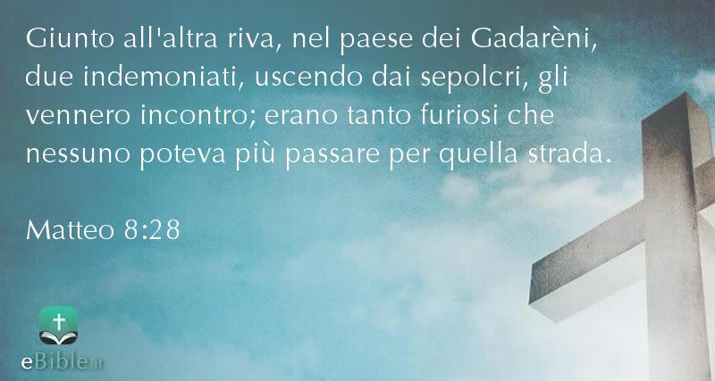 Bibbia Matteo capitolo 8 versetto 28