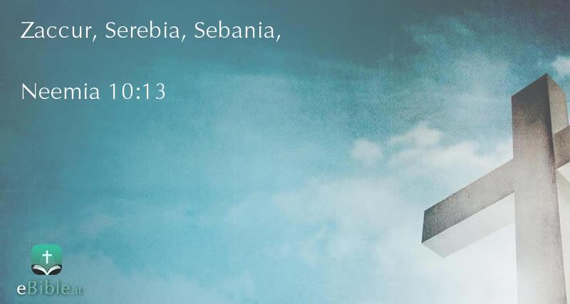 Bibbia Neemia capitolo 10 versetto 13