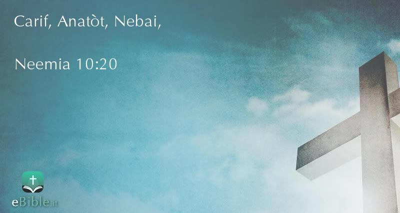 Bibbia Neemia capitolo 10 versetto 20
