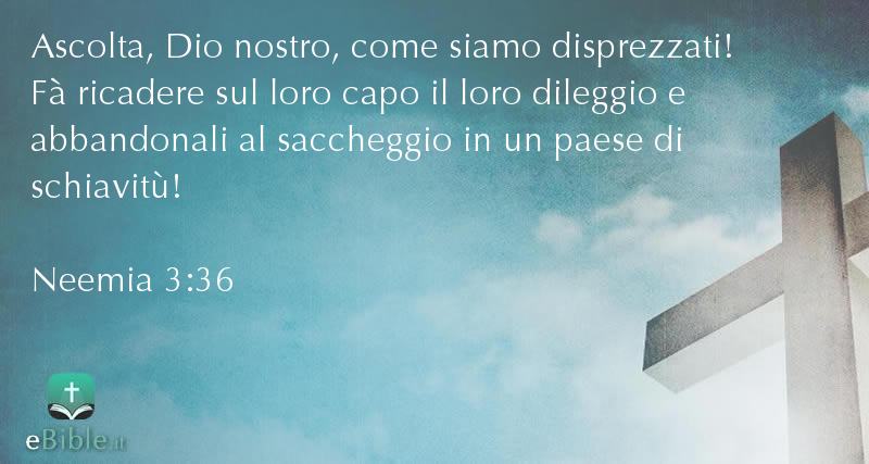 Bibbia Neemia capitolo 3 versetto 36