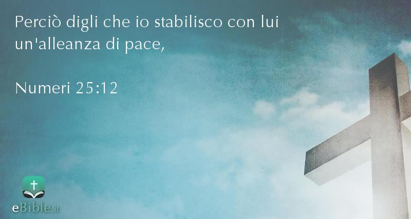 Bibbia Numeri capitolo 25 versetto 12