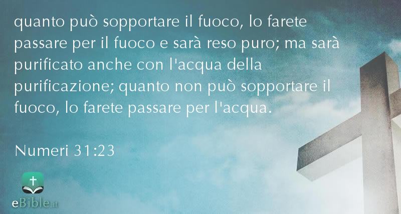 Bibbia Numeri capitolo 31 versetto 23