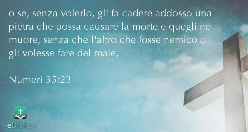 Bibbia Numeri capitolo 35 versetto 23
