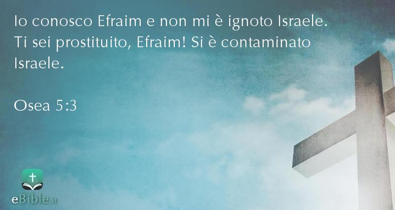 Bibbia Osea capitolo 5 versetto 3
