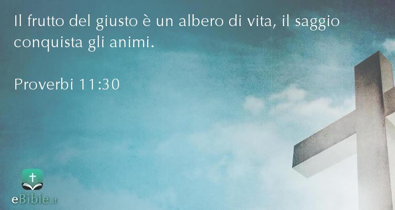 Bibbia Proverbi capitolo 11 versetto 30