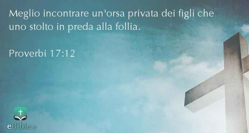 Bibbia Proverbi capitolo 17 versetto 12